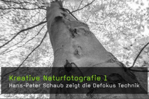 FotoTV.de - Kreative Naturfotografie