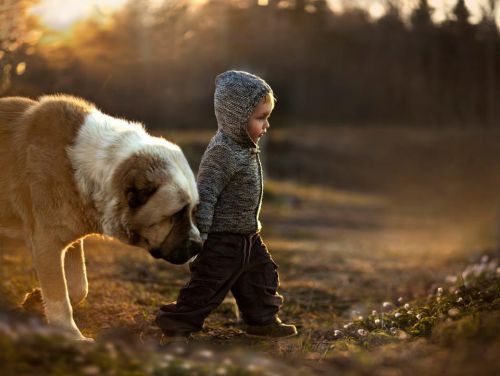 Die Fotos von Elena Shumilova vermitteln Ruhe, Harmonie und Wärme.