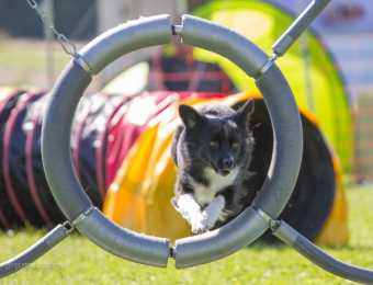 3. Gohrisch-Heide-Cup